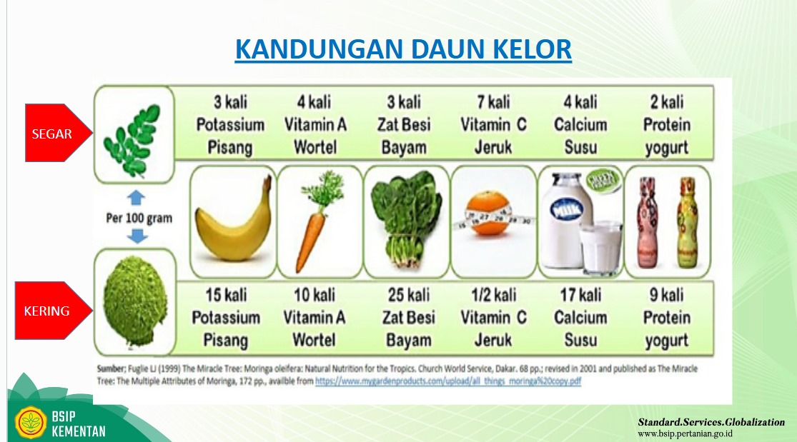 Perbandingan Kandungan Nutrisi Daun Kelor dengan Makanan Lain